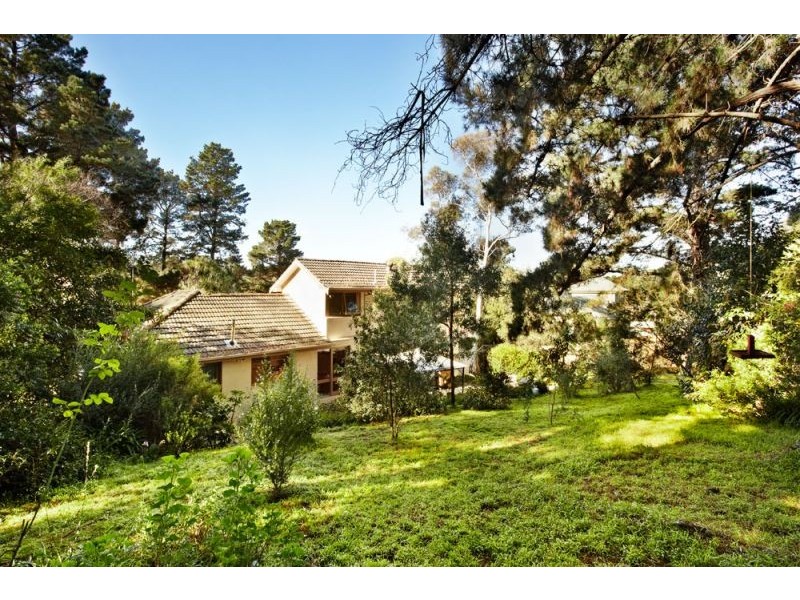 29 Granard Avenue, Park Orchards VIC 3114