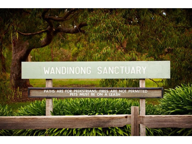 4 Eustace Street, Blackburn VIC 3130