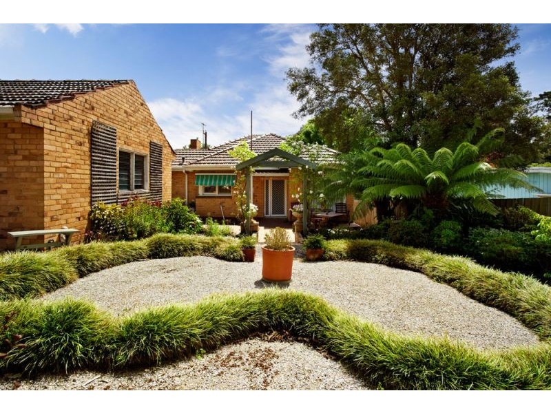 49 Warrigal Road, Surrey Hills VIC 3127