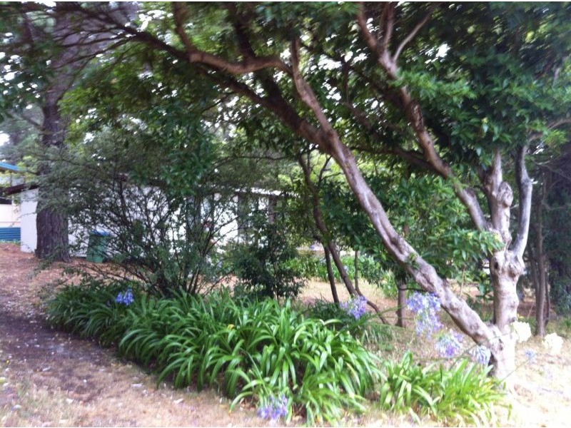 16 South Beach Road, Somers VIC 3927