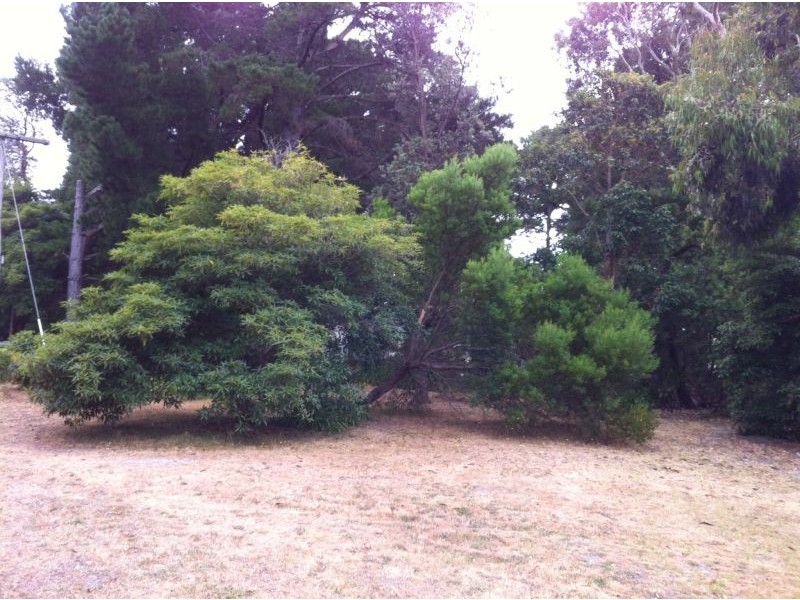 16 South Beach Road, Somers VIC 3927