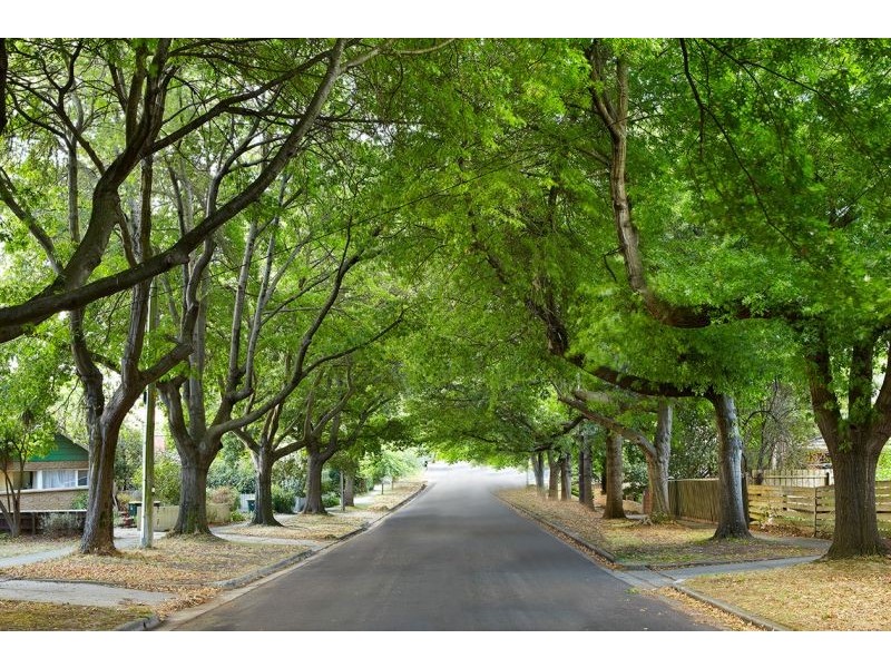 1/13 Park Close, Vermont VIC 3133