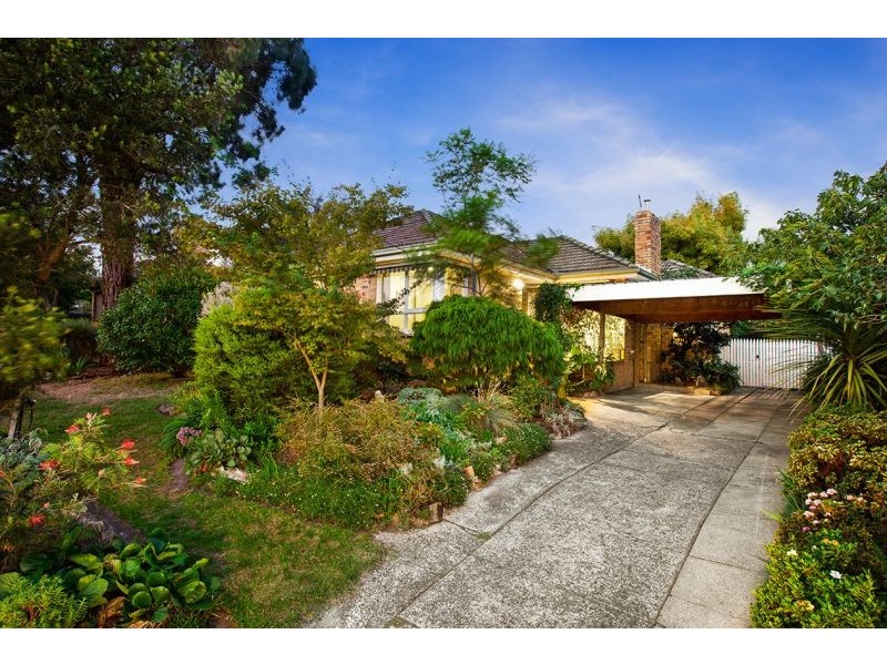 13 Winchester Road, Nunawading VIC 3131