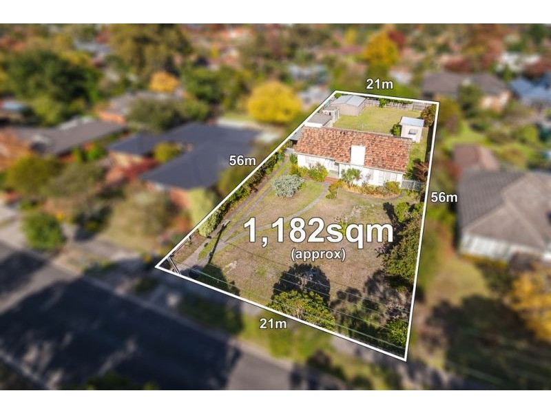 20 Tyrrell Avenue, Blackburn VIC 3130