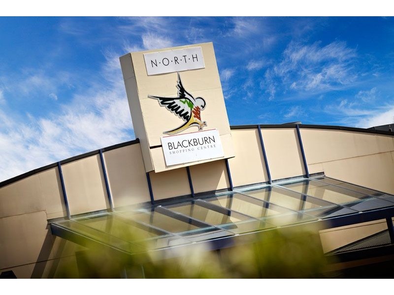 20 Tyrrell Avenue, Blackburn VIC 3130