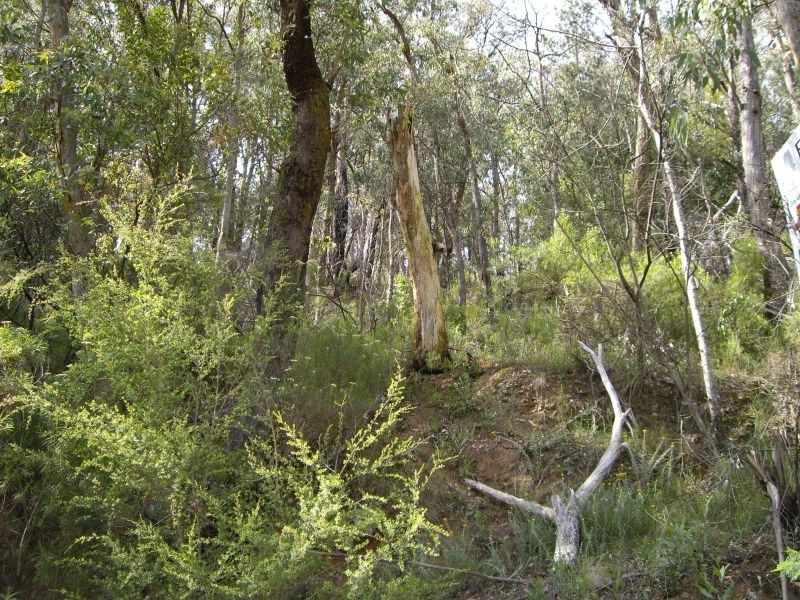 Lot 6, Happy Go Lucky Road, Walhalla VIC 3825