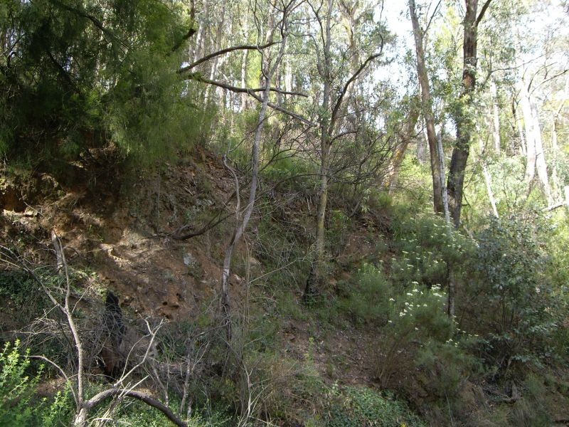 Lot 6, Happy Go Lucky Road, Walhalla VIC 3825