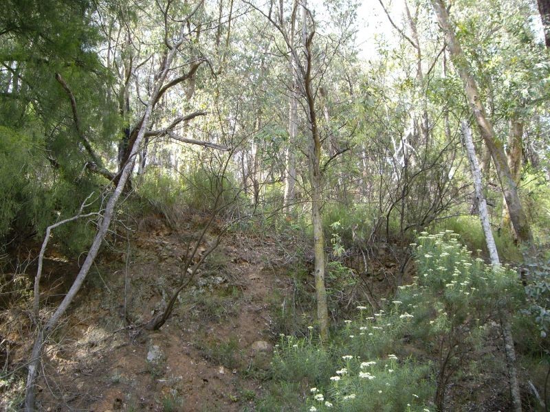 Lot 6, Happy Go Lucky Road, Walhalla VIC 3825