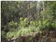 Lot 6, Happy Go Lucky Road, Walhalla VIC 3825