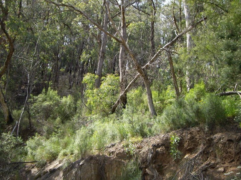 Lot 6, Happy Go Lucky Road, Walhalla VIC 3825