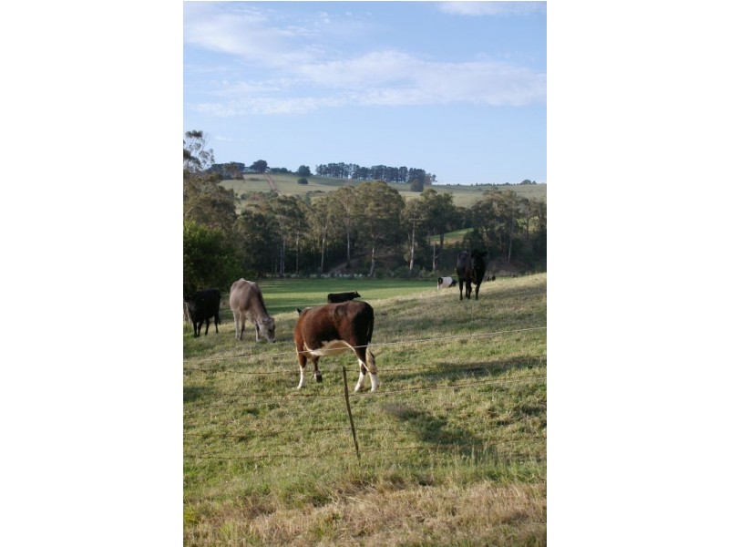 174 River Connection Road, Willow Grove VIC 3825