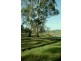 174 River Connection Road, Willow Grove VIC 3825