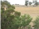 Lot 1, Thalloo Road, Tanjil South VIC 3825
