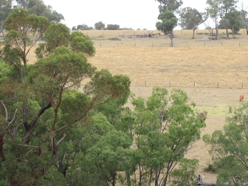 Lot 1, Thalloo Road, Tanjil South VIC 3825