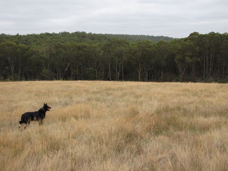 Lot 1, Thalloo Road, Tanjil South VIC 3825