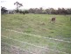 Lot 2, Melaleuca Drive, Trafalgar VIC 3824