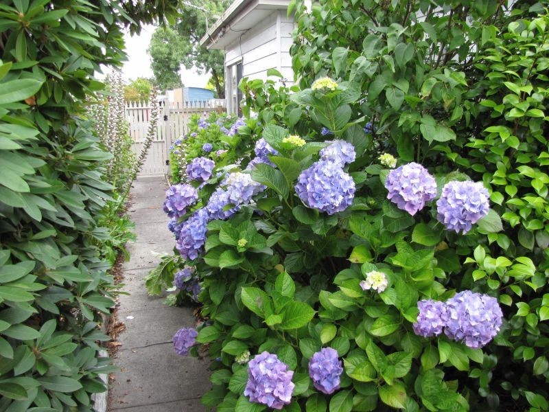 37 Fowler Street, Moe VIC 3825