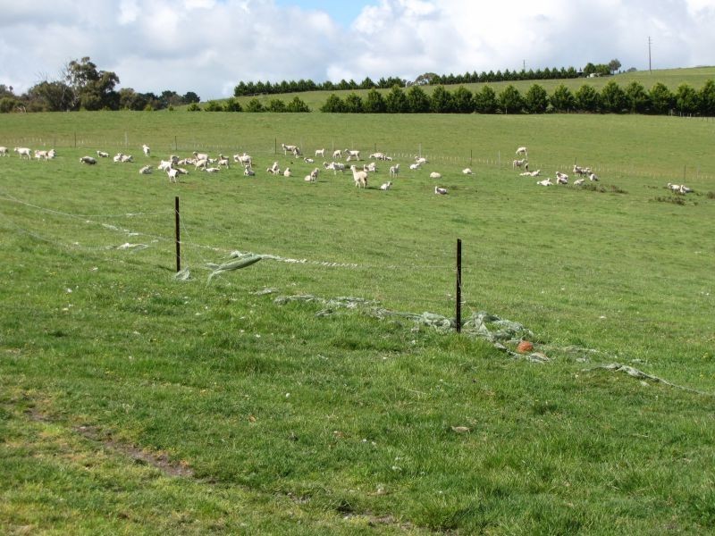 Lot 2, Frys Track, Hernes Oak VIC 3825