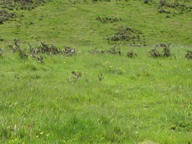 Lot 2, Frys Track, Hernes Oak VIC 3825