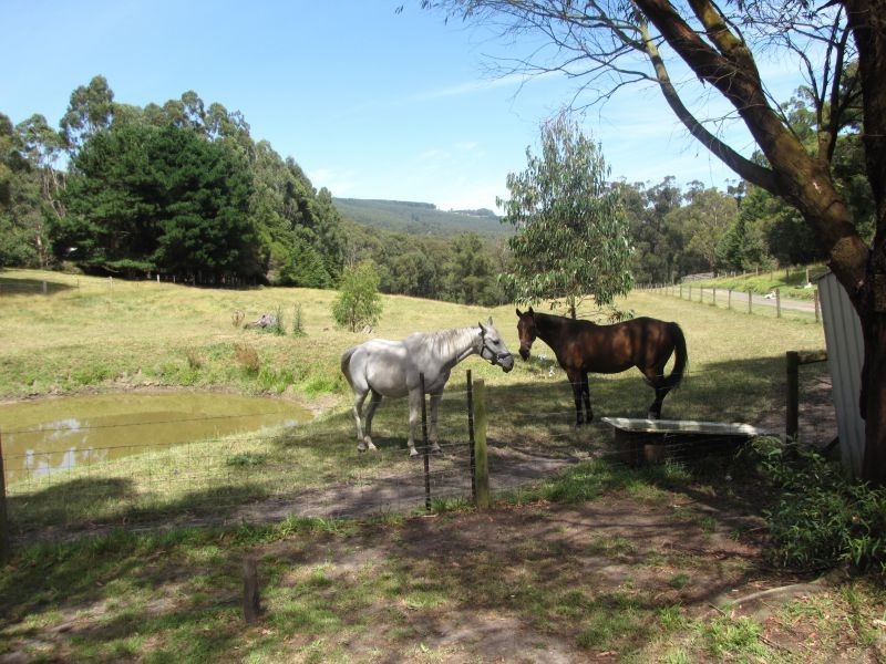 60 Blackwood Rise, Moe South VIC 3825
