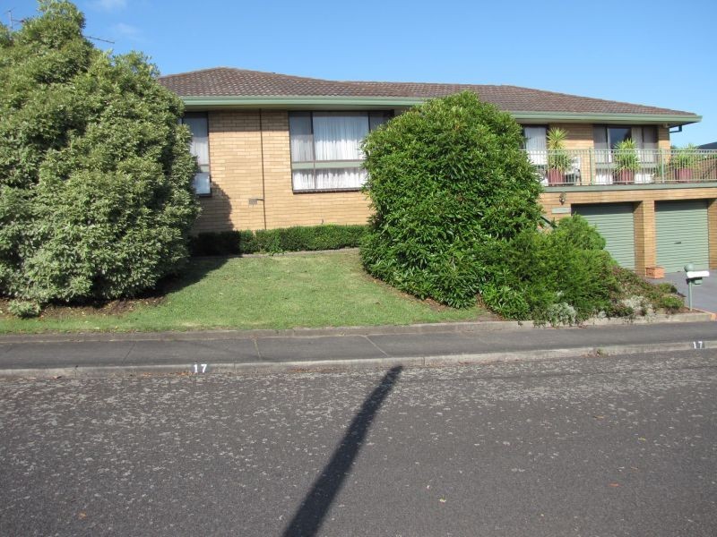 17 Brownbill Street, Moe VIC 3825