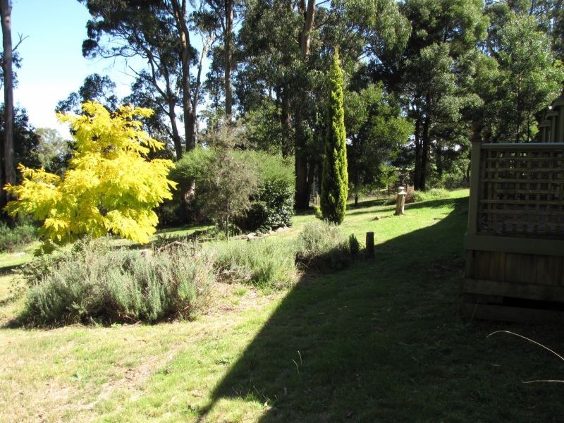 365 Old Walhalla Road, Moondarra VIC 3825