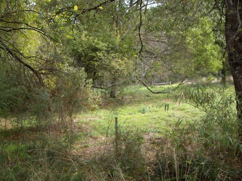 Allotment 4A Section 4 Coopers Creek Road, Coopers Creek VIC 3825