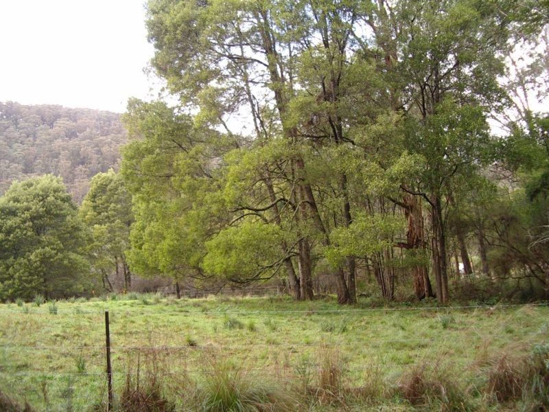 Allotment 4A Section 4 Coopers Creek Road, Coopers Creek VIC 3825