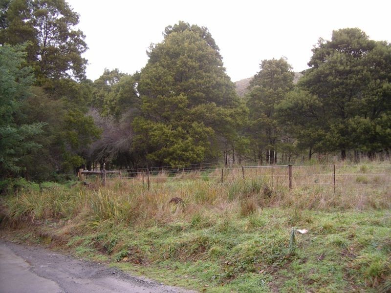 Allotment 4A Section 4 Coopers Creek Road, Coopers Creek VIC 3825