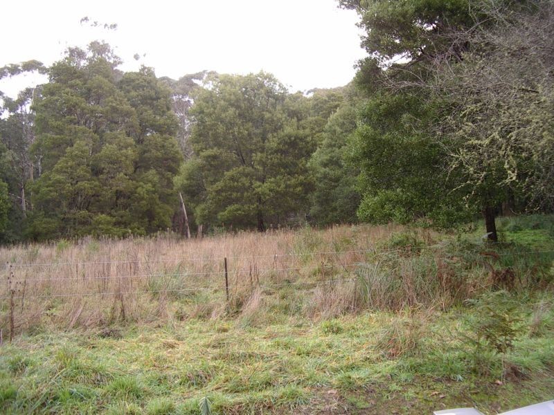 Allotment 4A Section 4 Coopers Creek Road, Coopers Creek VIC 3825