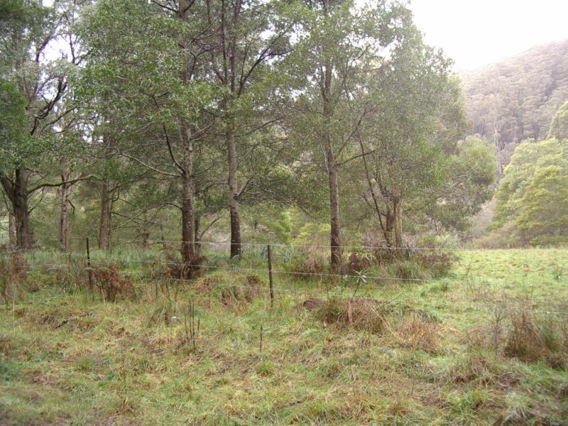 Allotment 4A Section 4 Coopers Creek Road, Coopers Creek VIC 3825