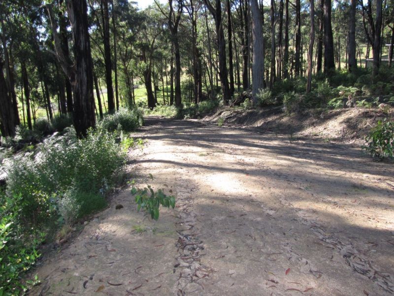 97 Pineridge Road, Moe South VIC 3825