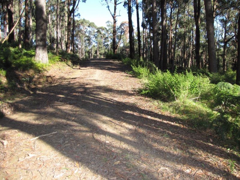 97 Pineridge Road, Moe South VIC 3825