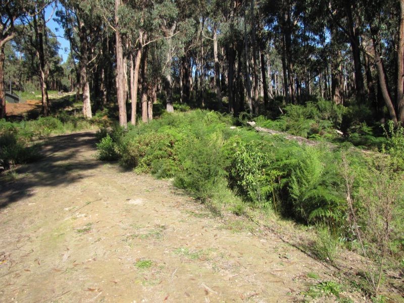 97 Pineridge Road, Moe South VIC 3825