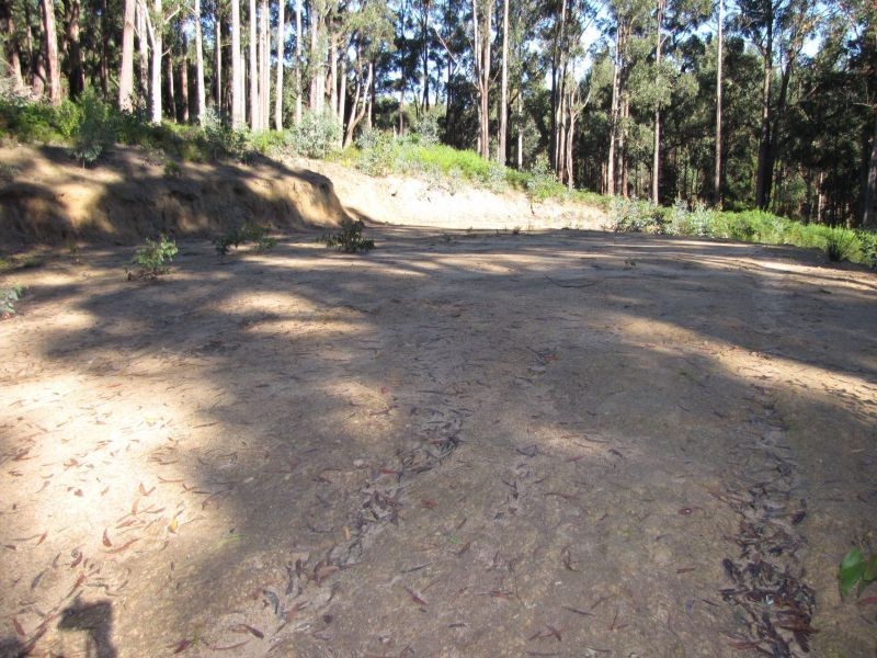 97 Pineridge Road, Moe South VIC 3825