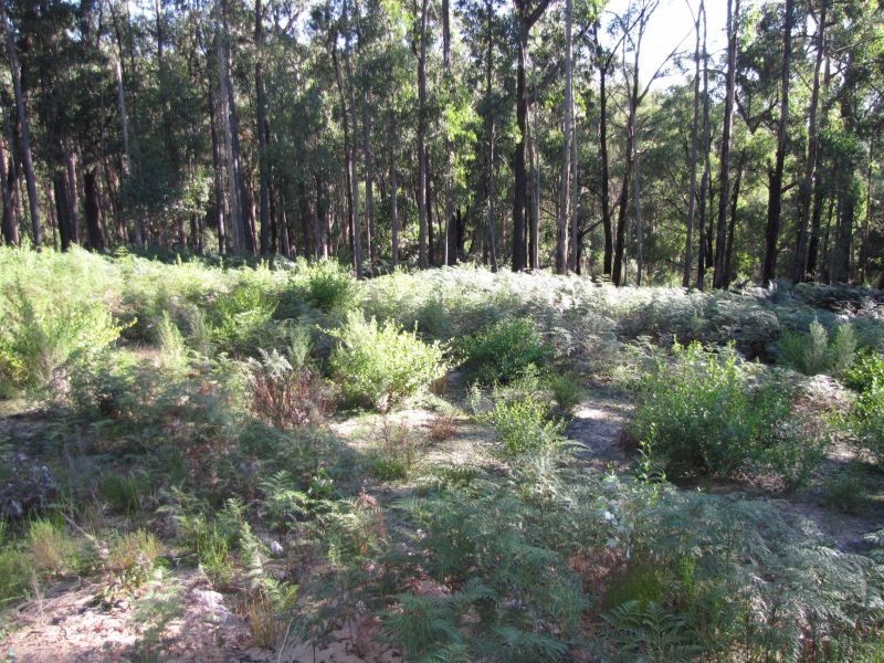 97 Pineridge Road, Moe South VIC 3825