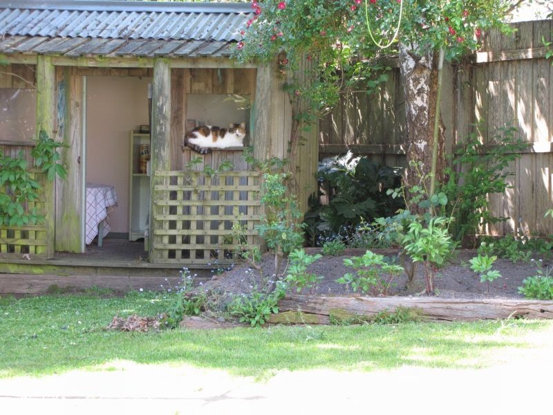 55 Scorpio Drive, Moe VIC 3825