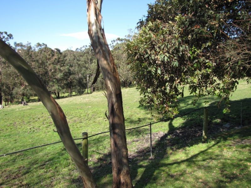 25 Elswyk Road, Moe VIC 3825