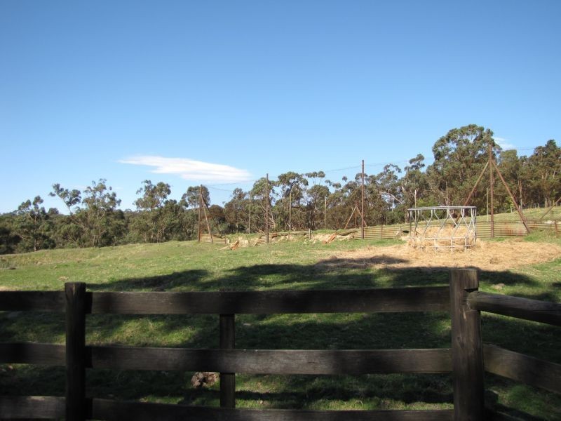 25 Elswyk Road, Moe VIC 3825