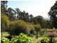 45 Lynne Avenue, Moe South VIC 3825