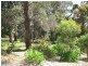 45 Lynne Avenue, Moe South VIC 3825