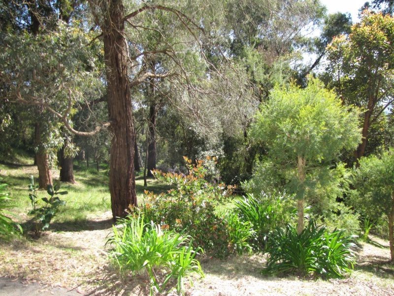 45 Lynne Avenue, Moe South VIC 3825