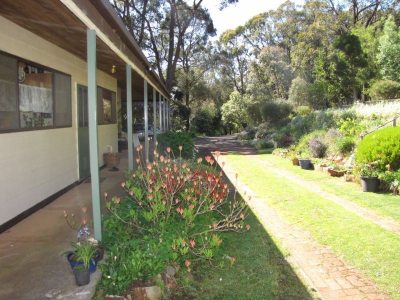 45 Lynne Avenue, Moe South VIC 3825