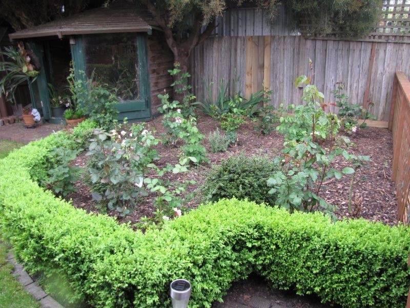 30 Randall Crescent, Moe VIC 3825