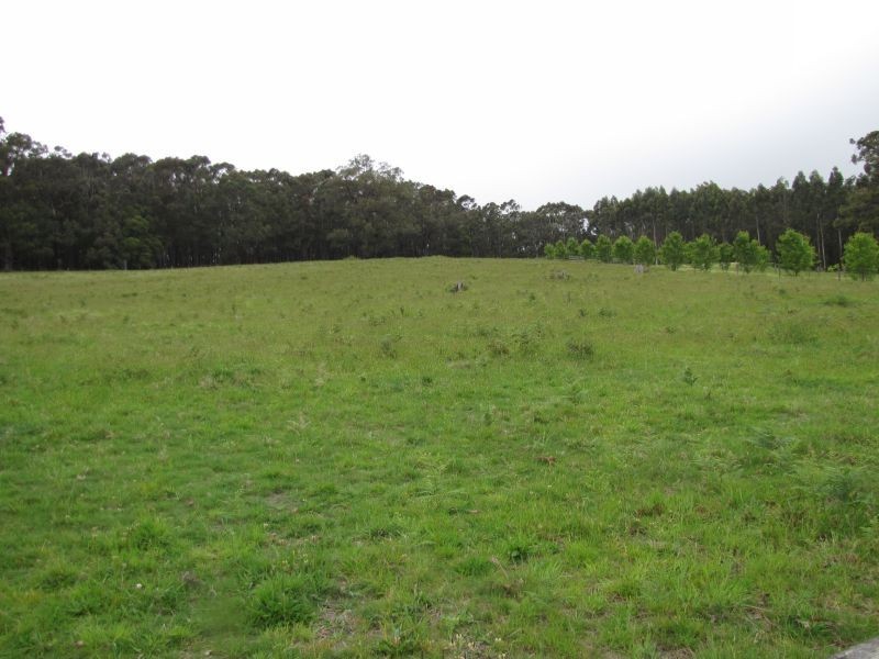 Lot 9 Pineridge Road, Moe VIC 3825
