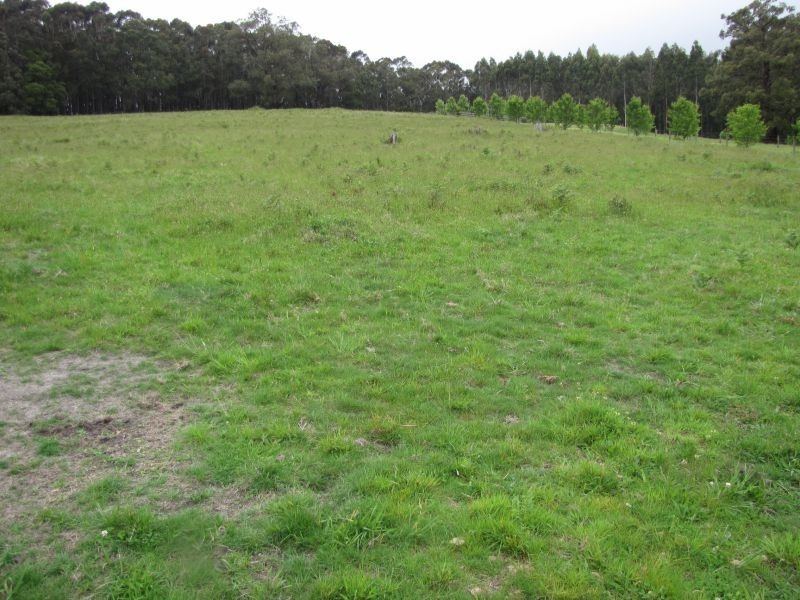 Lot 9 Pineridge Road, Moe VIC 3825