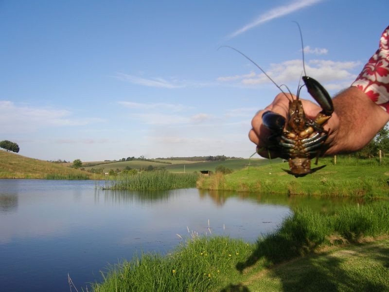 227 Coalville Road, Moe South VIC 3825