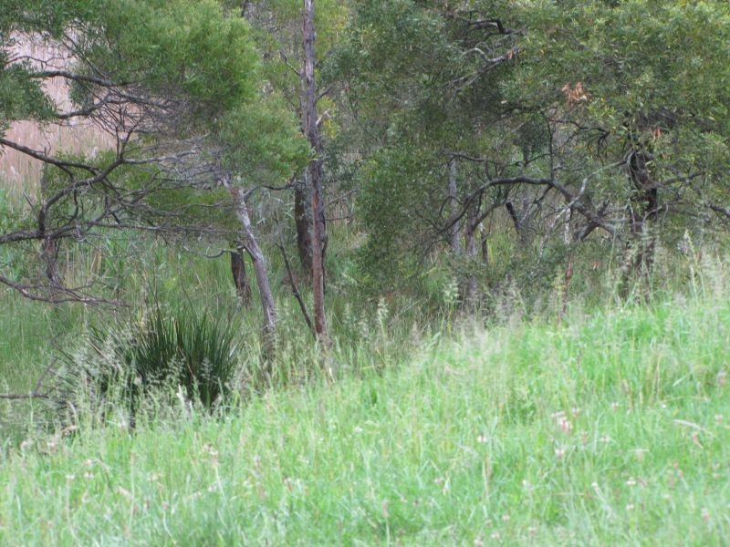 80 Two Mile Road, Newborough VIC 3825