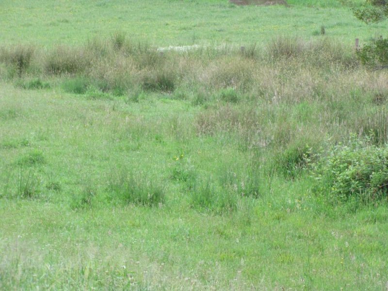 80 Two Mile Road, Newborough VIC 3825