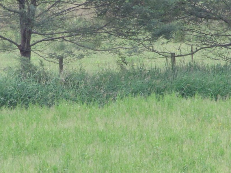 80 Two Mile Road, Newborough VIC 3825